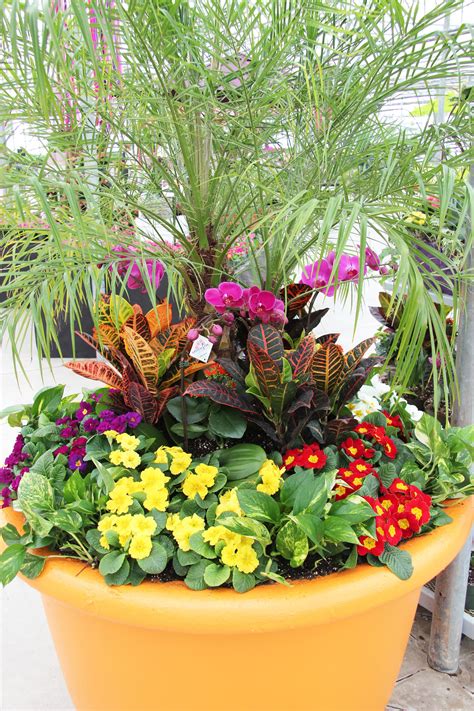 Huge Planter With Tropical Plants Tropical Landscaping Tropical