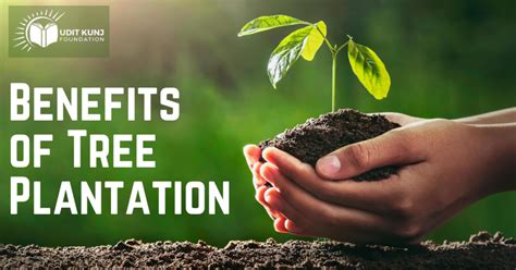 Benefits Of Trees Plantation Udit Kunj Foundation