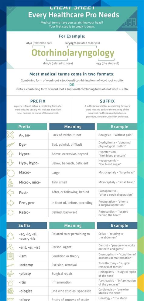 Medical Terminology Cheat Sheet Spinkaseth467 Medical Terminology