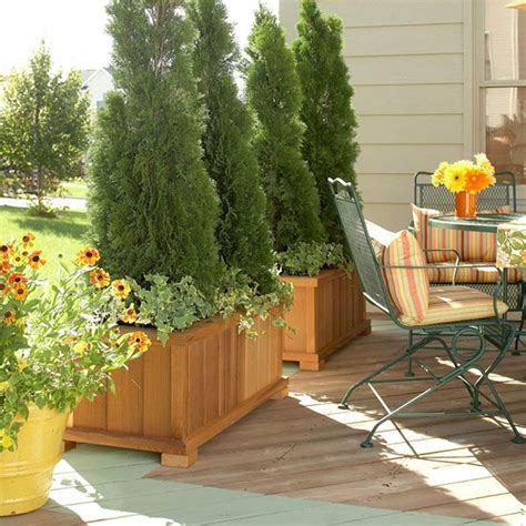 5 Ways To Decorate Your Deck Or Patio With Plants Patio Landscaping