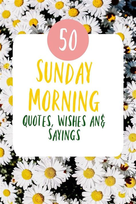 White Daisies With The Words Sunday Morning Quotes Sayings And Sayings