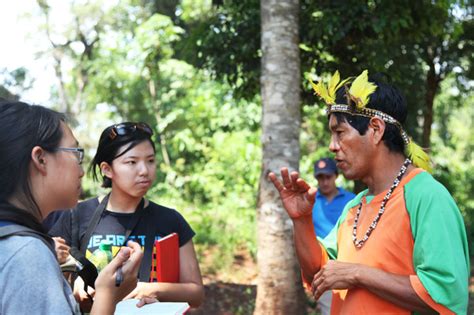Find professional guaraní people videos and stock footage available for license in film, television, advertising and corporate uses. Creating PSAs for the Guarani peoples of South America ...
