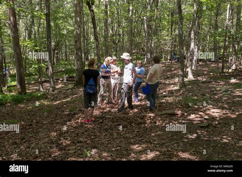 Salamander Study Barse The Exploring Earth Science Teacher Workshop