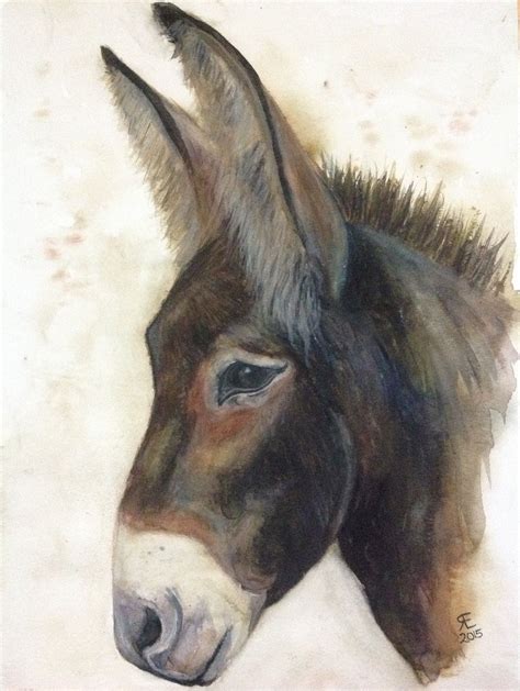 Pin On Painting Donkey Art
