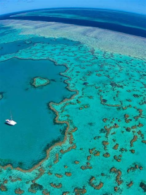Great Barrier Reef Bing Wallpaper Download