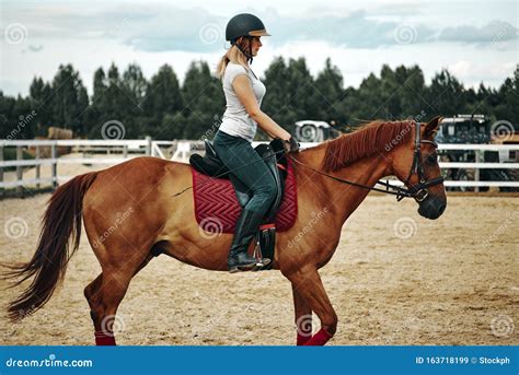 Girl Rider Rides A Horse Leather Boot In Stirrup Horseback Riding