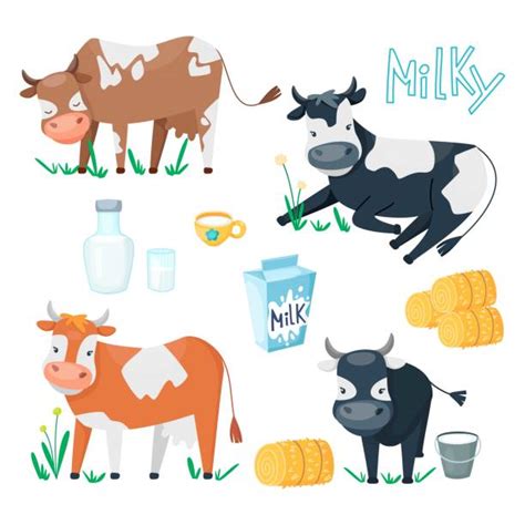 Cow Laying Down Illustrations Royalty Free Vector