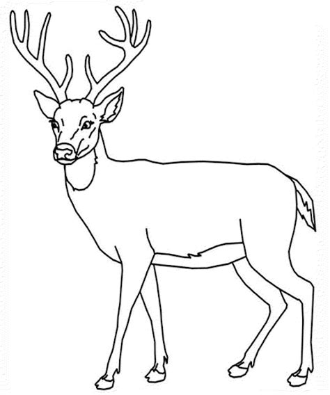 Will he have a red nose? Deer Antler Coloring Pages at GetColorings.com | Free ...