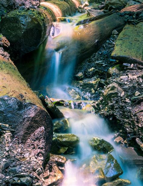 Water Stream Flowing Between Rocks Into The Forest Water Spring In
