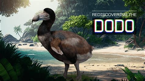 Dodo Bird De Extinction Restoring The Past For A Better Future
