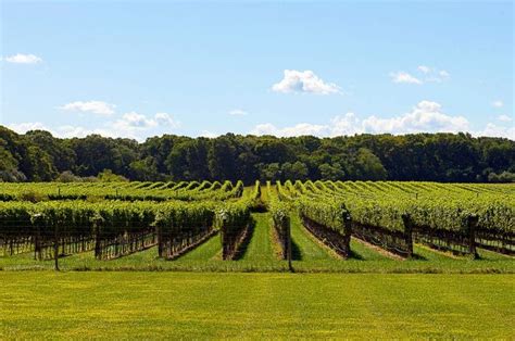 10 Best Wineries And Vineyards On Long Island Ny Secret Nyc