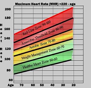 Muscle Activation Target Heart Rate