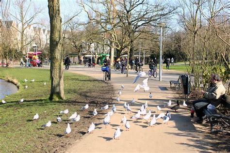 The vondelpark is amsterdam's most popular park, attracting thousands of tourists, residents and everyone in between every day. Amsterdam Travel: A Walk Around Amsterdam's Vondelpark ...