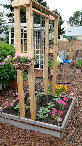 The pvc cucumber trellis is a cool way to grow your cucumbers. Garden Ideas: How to Make a Cucumber Trellis