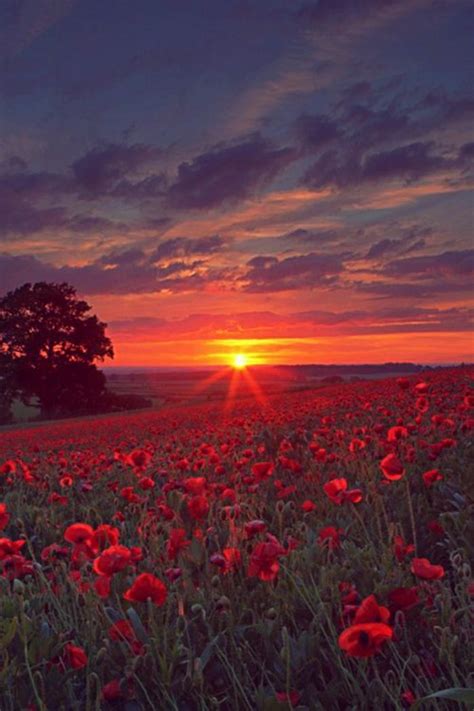 Dieser pinnwand folgen 344 nutzer auf pinterest. 53 erstaunliche Sonnenuntergang Bilder | Naturbilder ...