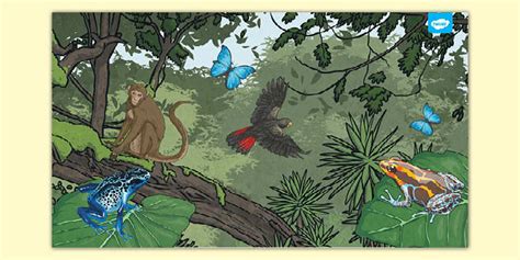 Introduce Imagen Cartoon Rainforest Background Thpthoanghoatham