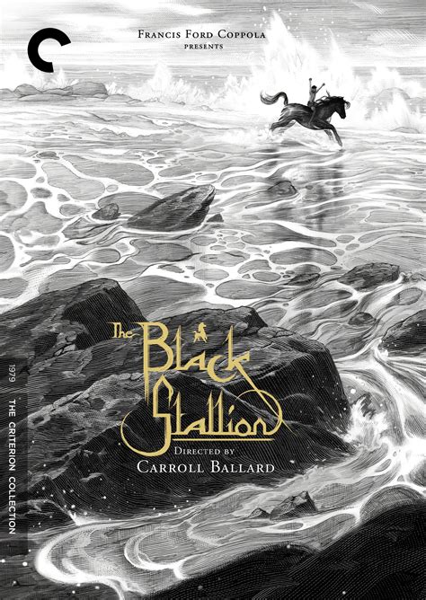 We won't share parents need to know that spirit: The Black Stallion DVD Release Date