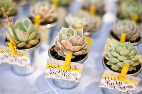 Ohmywedding Originales Cactus Para Decorar La Boda