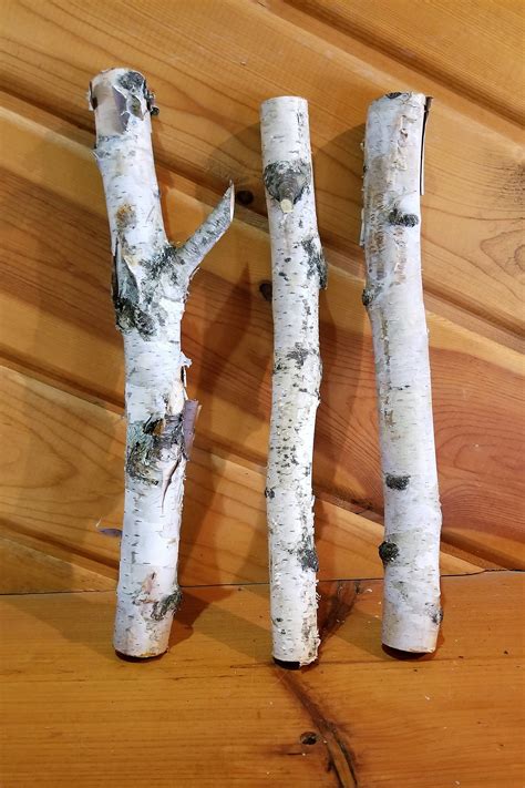 White Birch Logs 14 Inch Wood Logs Fireplace Decor Home Etsy