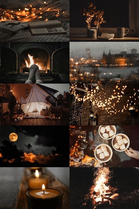 skogsrå | Autumn aesthetic, Autumn cozy, Fall aesthetic