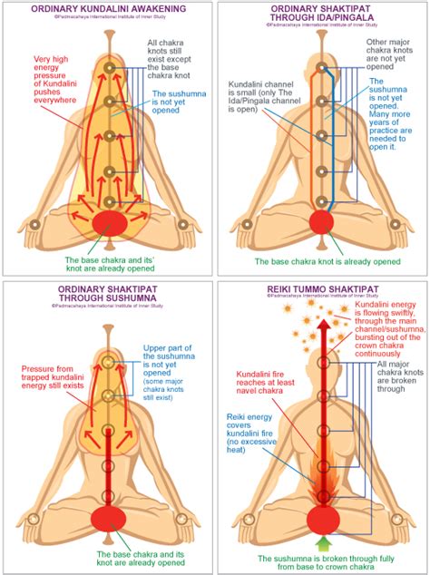 Instant And Safe Kundalini Awakening Padmacahaya