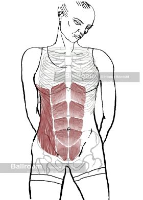 Hey simon, that twitching you described in you lower left abdomen is suggestive muscle contraction. Muskelspiele - Fitnesstraining im Tanzsport.Bauchmuskel ...