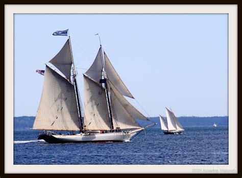 Rcn America Ca The Mainesail Journal Mary Day On Penobscot Bay