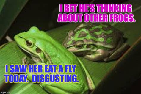 Frog Week June 4 10 A Jbmemegeek And Giveuahint Event Imgflip