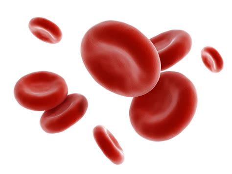 Red Blood Cells Png Picture 2226665 Red Blood Cells Png