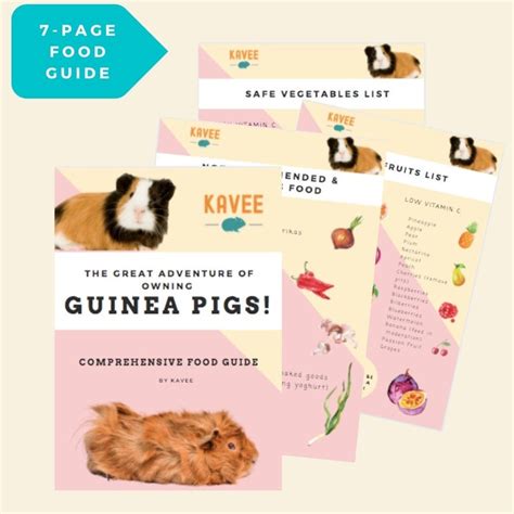 Guinea Pig Food Guide And Food Lists Printable Digital Etsy France