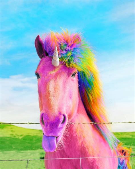 Real Rainbow Unicorn