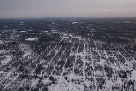 Seismic lines and forest fragmentation in Canada's western ...