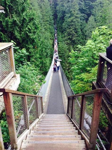 Capilano Suspension Bridge Park Is One Of The Most Popular Tourist