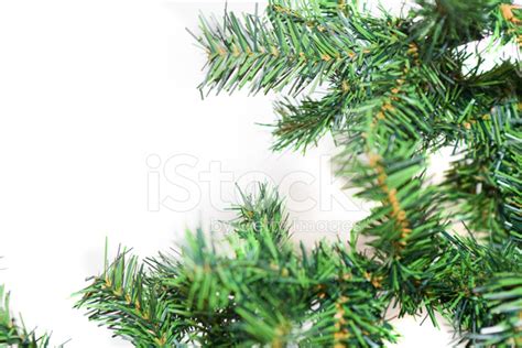 Christmas Greenery Stock Photos