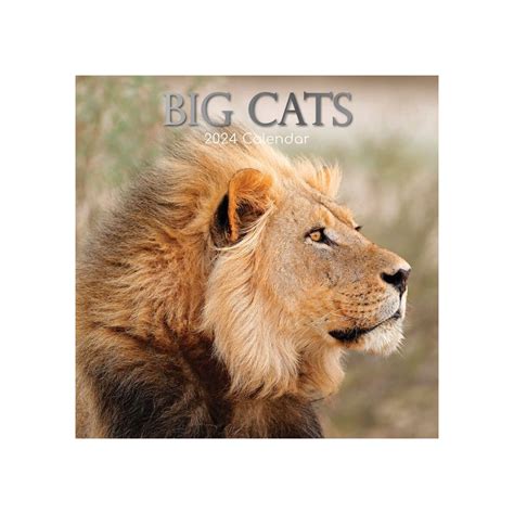 2024 Big Cats Calendar British Heart Foundation