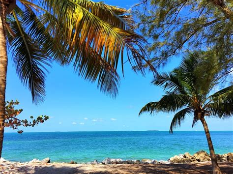 Southernmost on the beach is a key west favorite. Top Islamorada Attractions: 8 Ways to Play in the Florida Keys