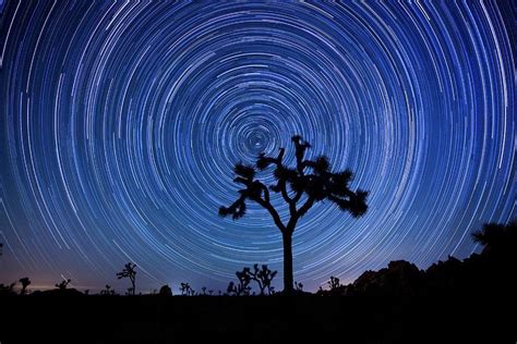 Joshua Tree Star Trails Photography By Beverly Houwing Beverly Hills