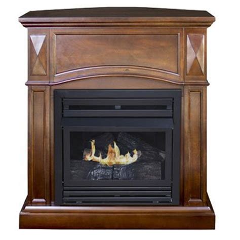 Free Standing Ventless Natural Gas Fireplace Fireplace World