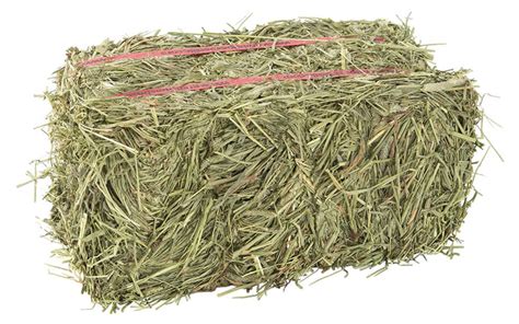 Timothy Mix Hay Bale Smithland