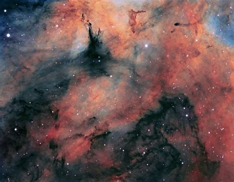Ic1318 Sara Wager Astrophotography