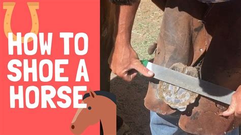 How To Shoe A Horse Youtube