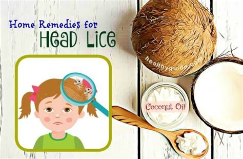 Natural Home Remedies For Head Lice Top 13 Simple Ways