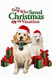 🎬 [VER HD] The Dog Who Saved Christmas Vacation (2010) Película ...