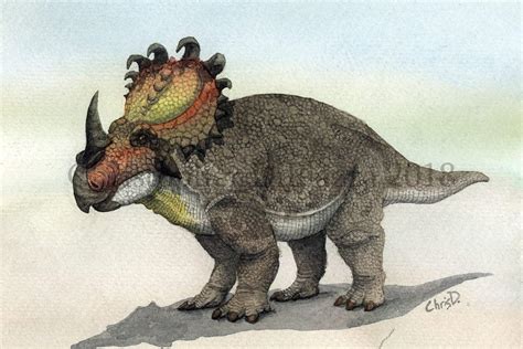 Sinoceratops Wiki ⚪jurassic Park Amino⚪ Amino