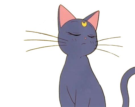Anime Cat Sailormoon Aesthetic Tumblr Sticker By Urmumuwu