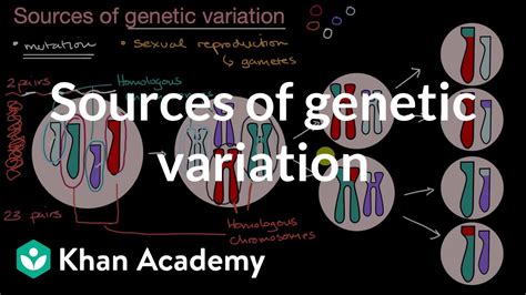 Sources Of Genetic Variation Inheritance And Variation High School Biology