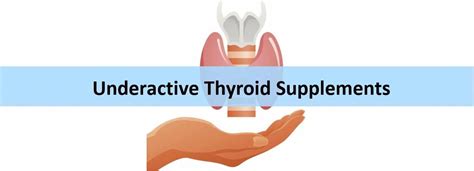 Best Underactive Thyroid Supplements Our 5 Top Picks