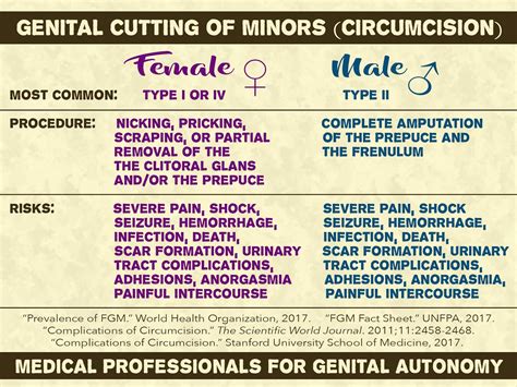 Peaceful Parenting Male And Female Circumcision