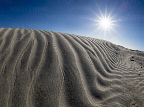 Wind Swept Barkhan Sand Dunes On The Barrier Island Of Isla Magdalena Baja California Sur