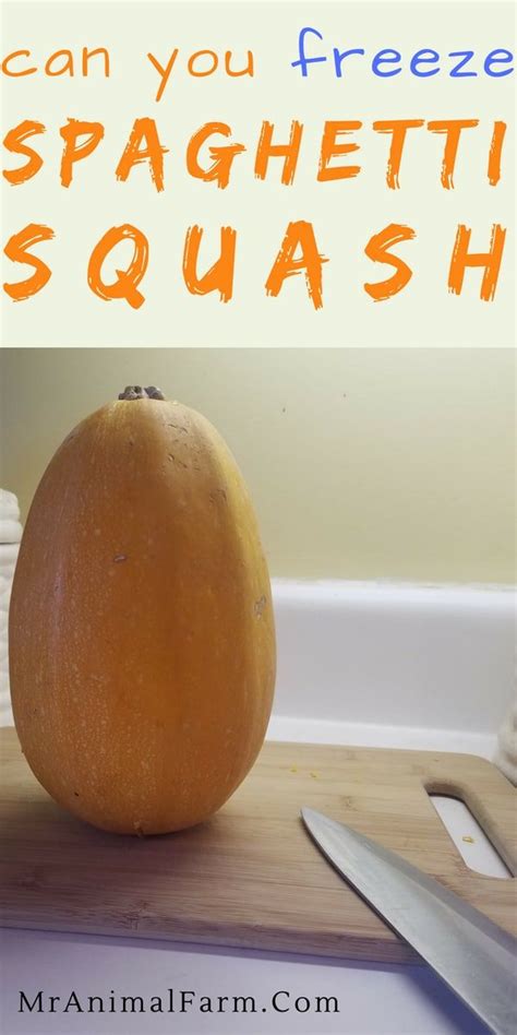 Can You Freeze Spaghetti Squash A Food Preservation Guide